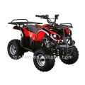 CE-BILLIGE 90CC ATV 4-RAD QUAD-BIKE (FA-D90)